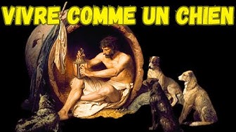 Le cynisme… par Diogène